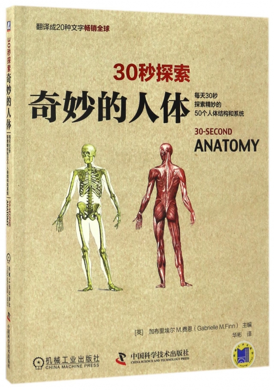 奇妙的人体/30秒探索