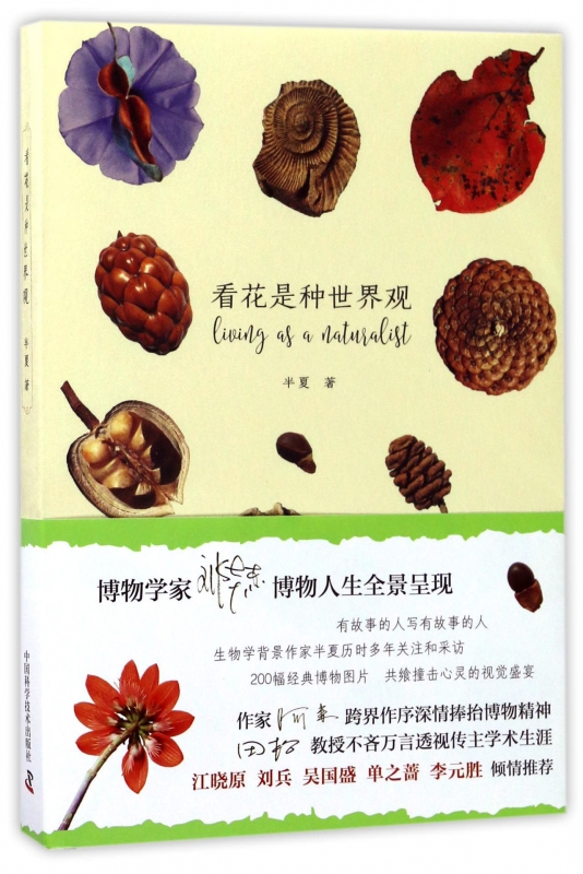 看花是种世界观