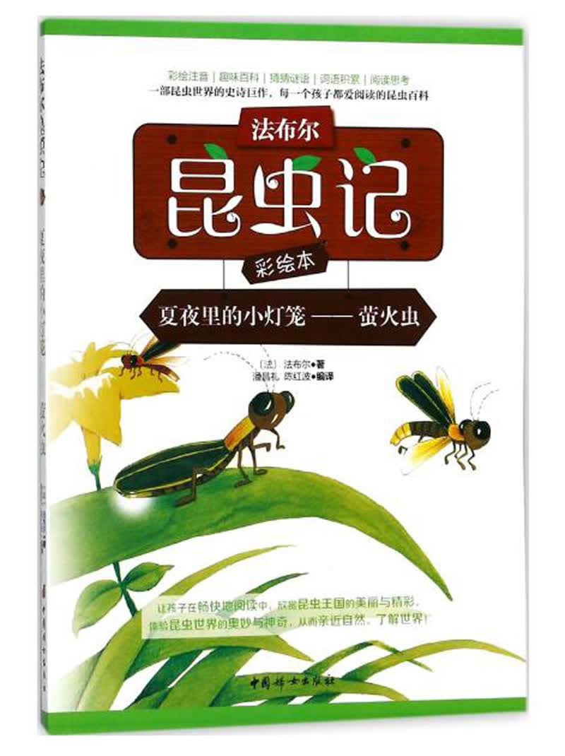 中国妇女出版社 夏夜里的小灯笼:萤火虫 