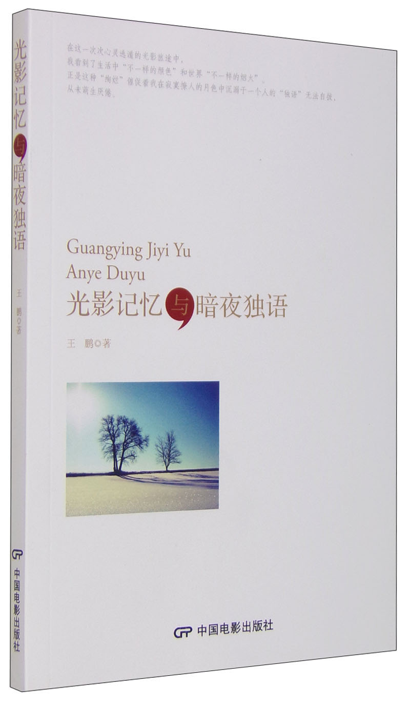 光影记忆与暗夜独语