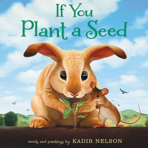 If You Plant a Seed 进口儿童绘本