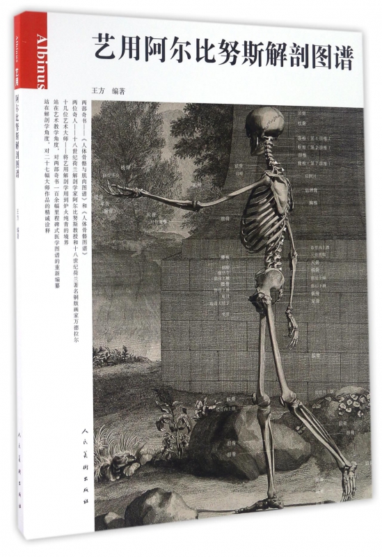 艺用阿尔比努斯解剖图谱