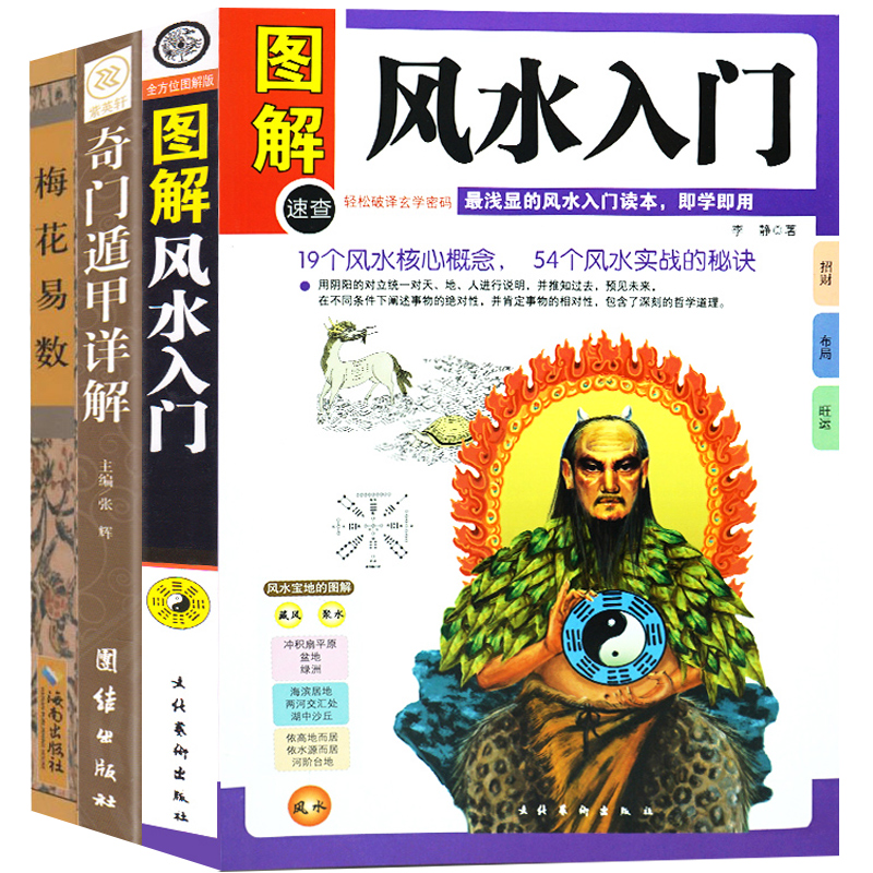 图解风水入门 奇门遁甲详解 梅花易数 风水书籍3册易经梅花易数 算卦卜卦风水预测易经入门