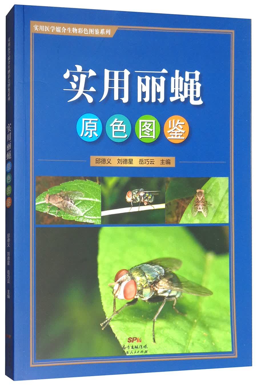 实用丽蝇原色图鉴