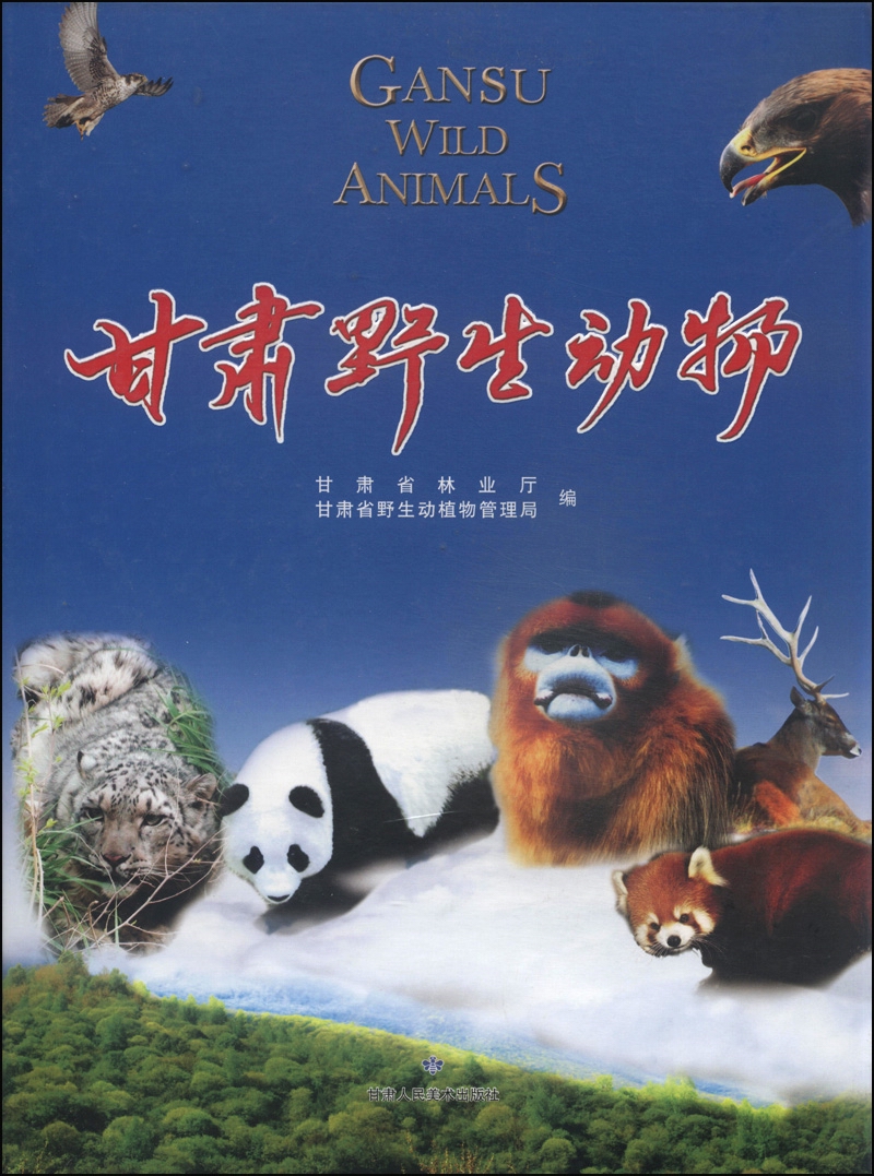 甘肃野生动物