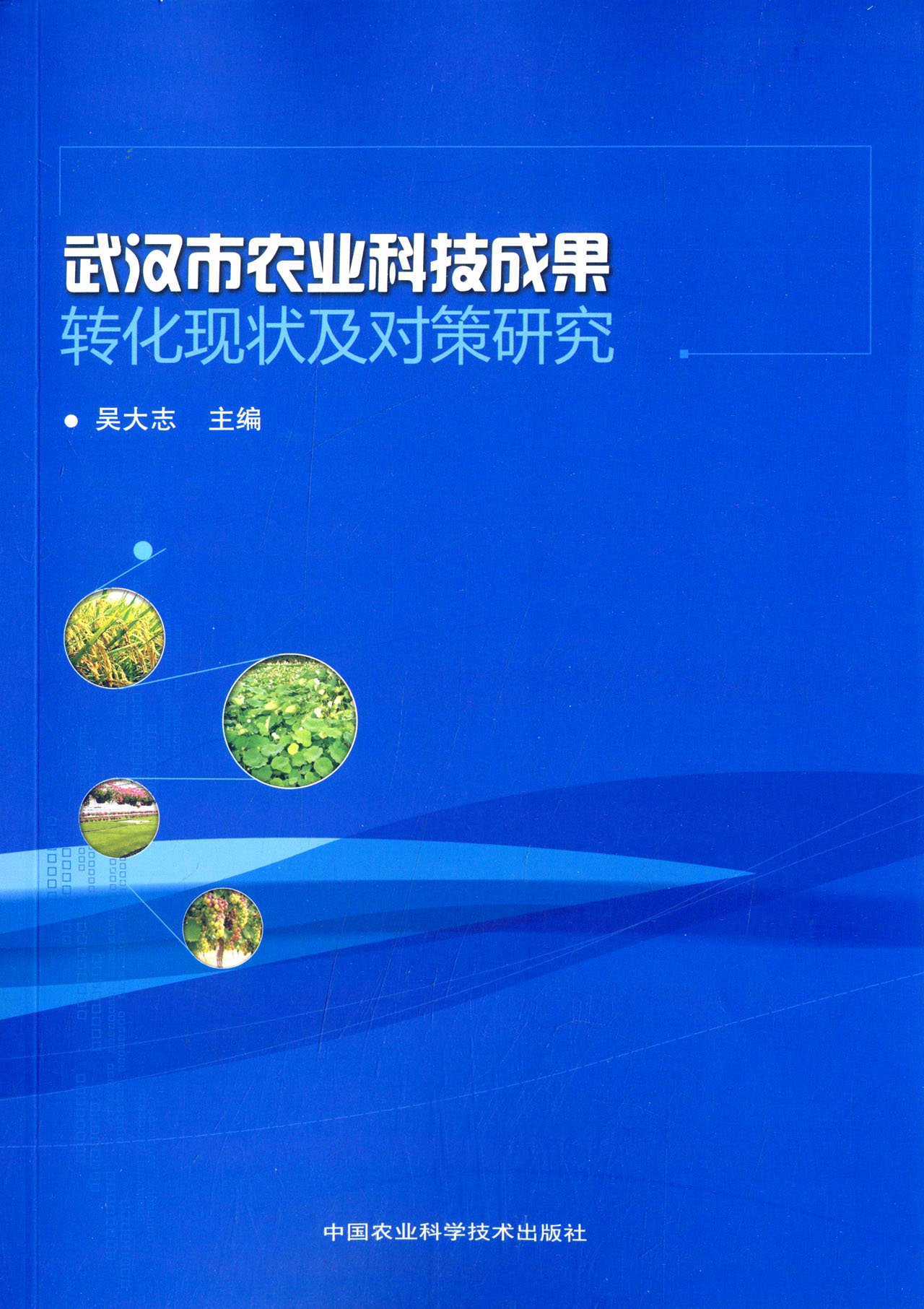 【二手99新】 武汉市农业科技成果转化现状及对策研究 9787511620699