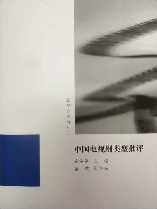 影视多棱镜丛书：中国电视剧类型批评