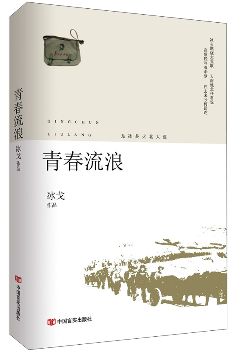 青春流浪