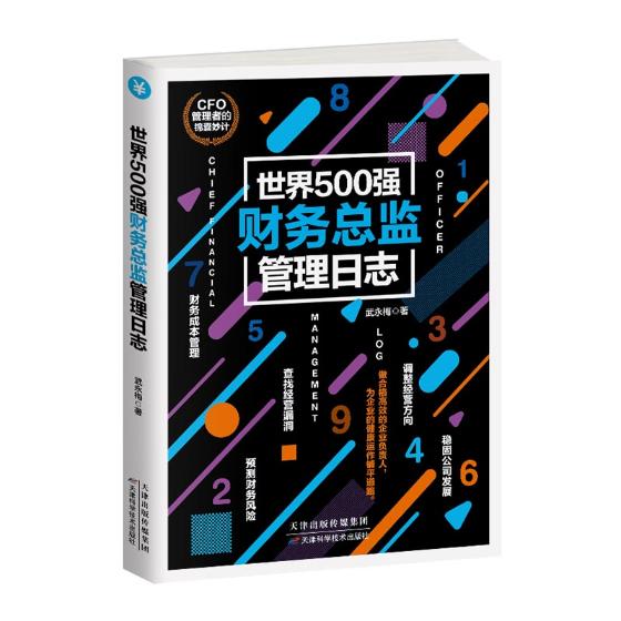 500强财务总监管理日志/书籍/管理/财务管理