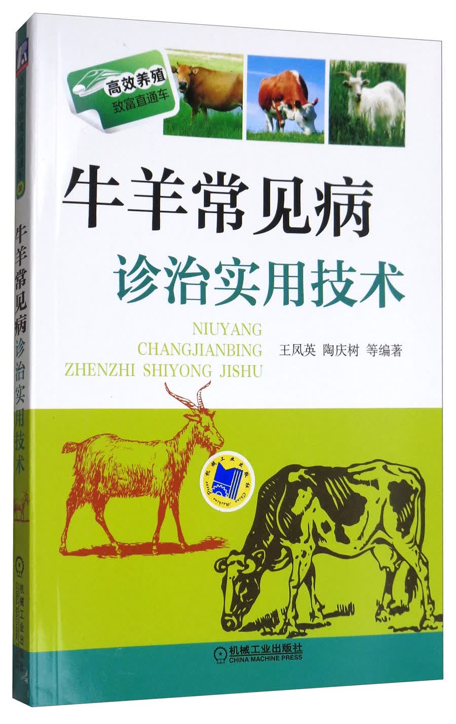 牛羊常见病诊治实用技术/高效养殖致富直通车