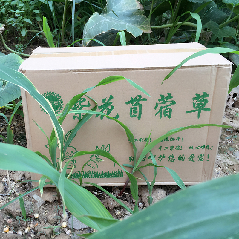 对比下智秀恩兔粮提摩西草是真的很优质吗，交流三星期经验分享