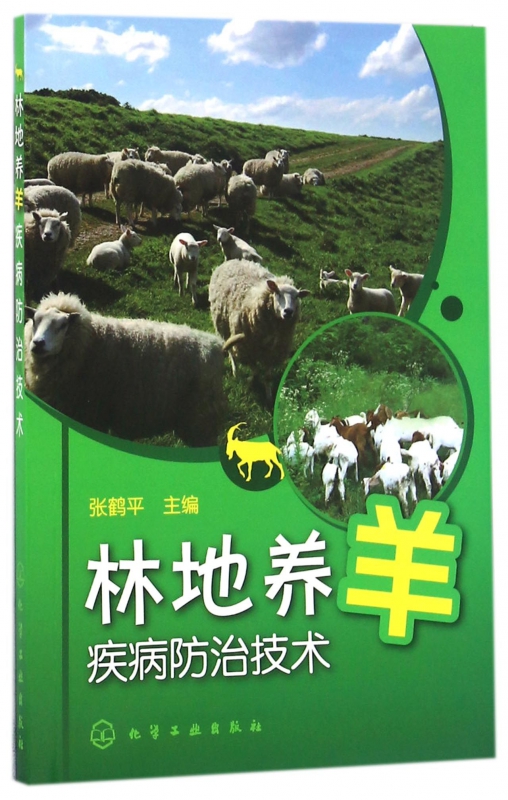 林地养羊疾病防治技术