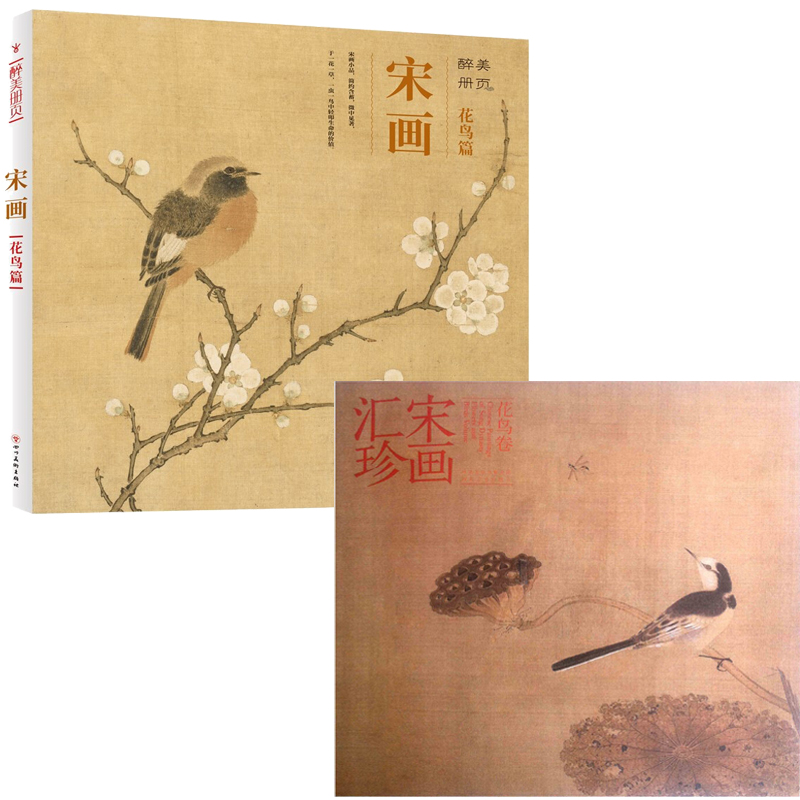 宋画花鸟篇 宋画汇珍花鸟卷 醉美册页 宋代花鸟画集绘画图录美术 宋人