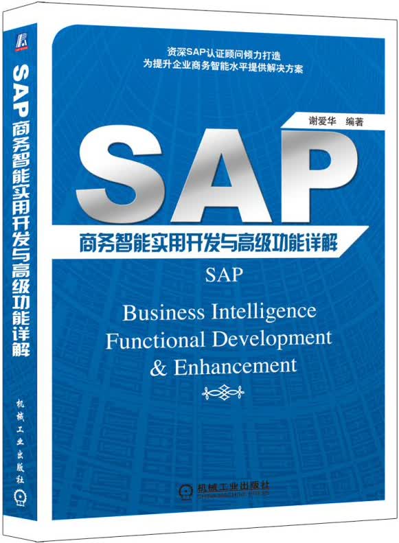 SAP商务智能实用开发与高级功能详解