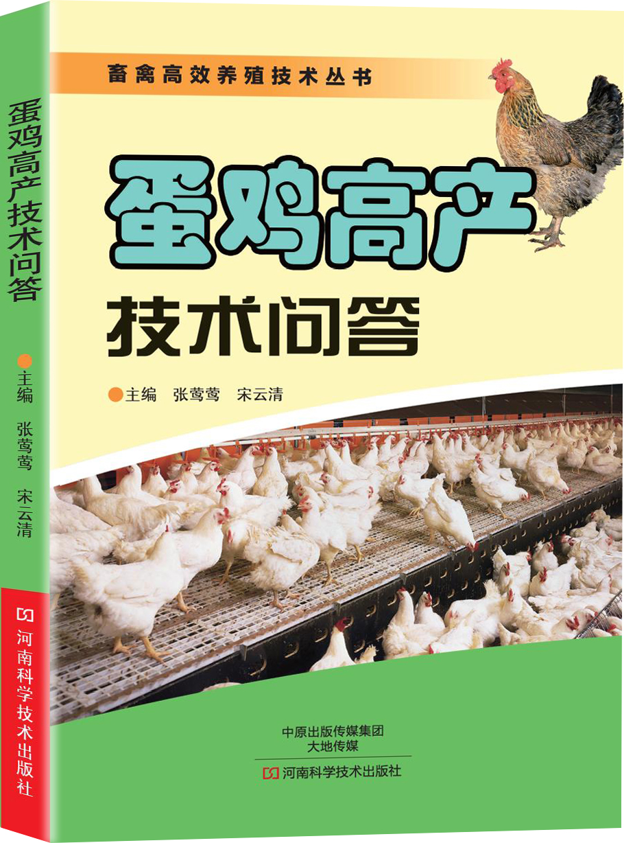 蛋鸡高产技术问答