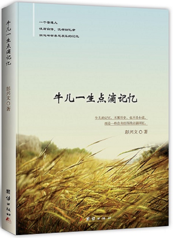 牛儿一生点滴记忆