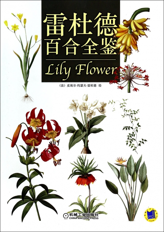 雷杜德百合全鉴(精)