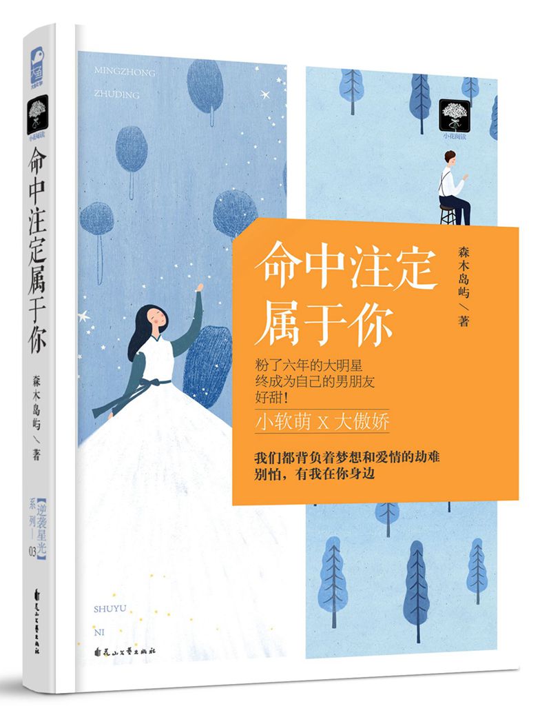 命中注定属于你（逆袭星光03）