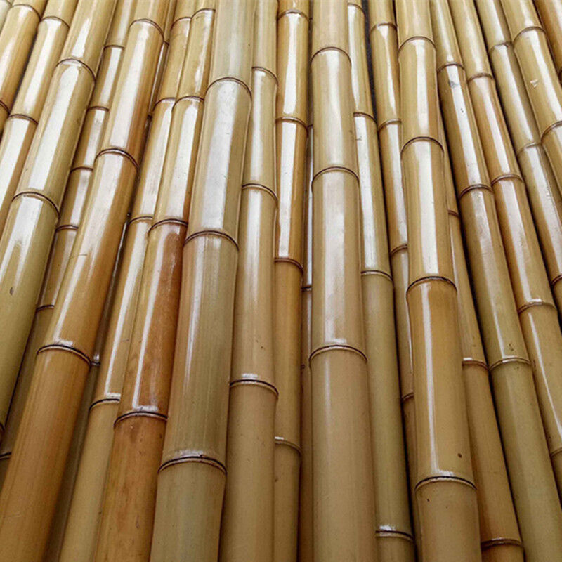 竹竿各种规格竹子菜园搭架篱笆栅栏彩旗装潢跳舞竹杆 3厘米粗2米长一根（30根起拍）