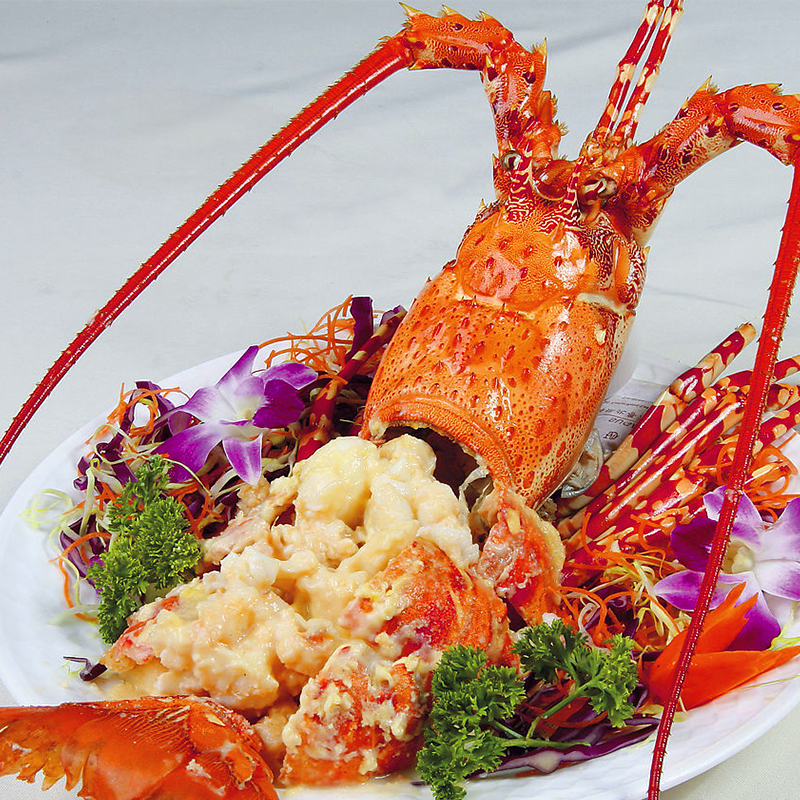 澳洲进口红花龙虾,为你献上来自澳大利亚的极品盛宴.