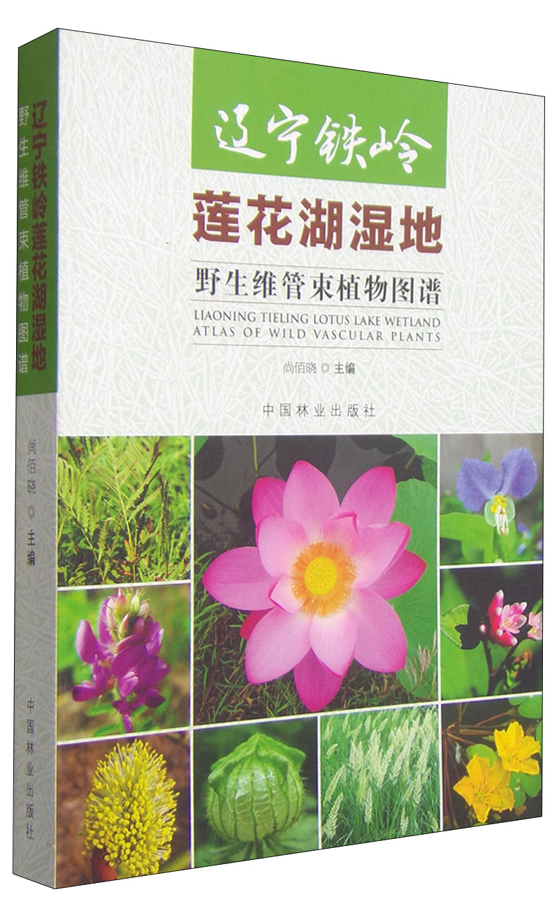 辽宁铁岭莲花湖湿地野生维管束植物图谱