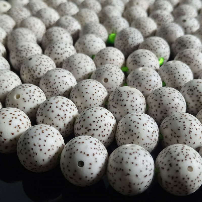 看菩提历史价格|菩提价格走势