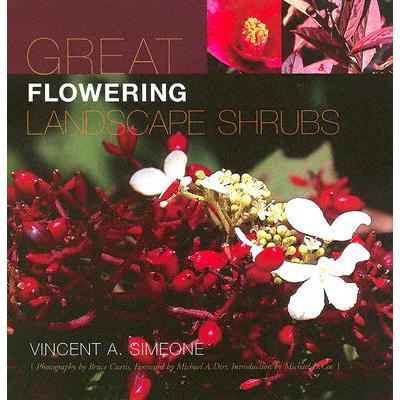 预订 Great Flowering Landscape Shrubs