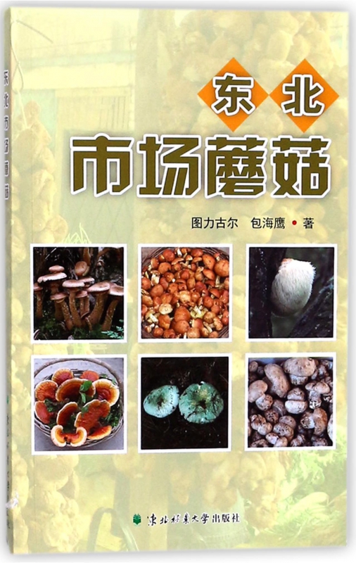 东北市场蘑菇
