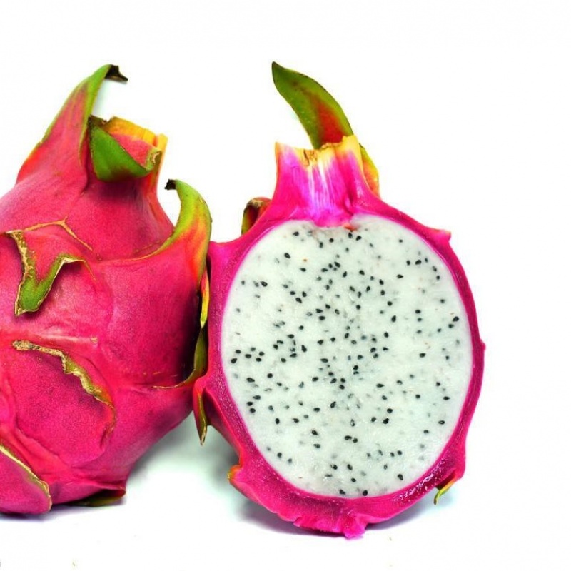 红皮白肉当年结果 30cm(含)-40cm(不含)