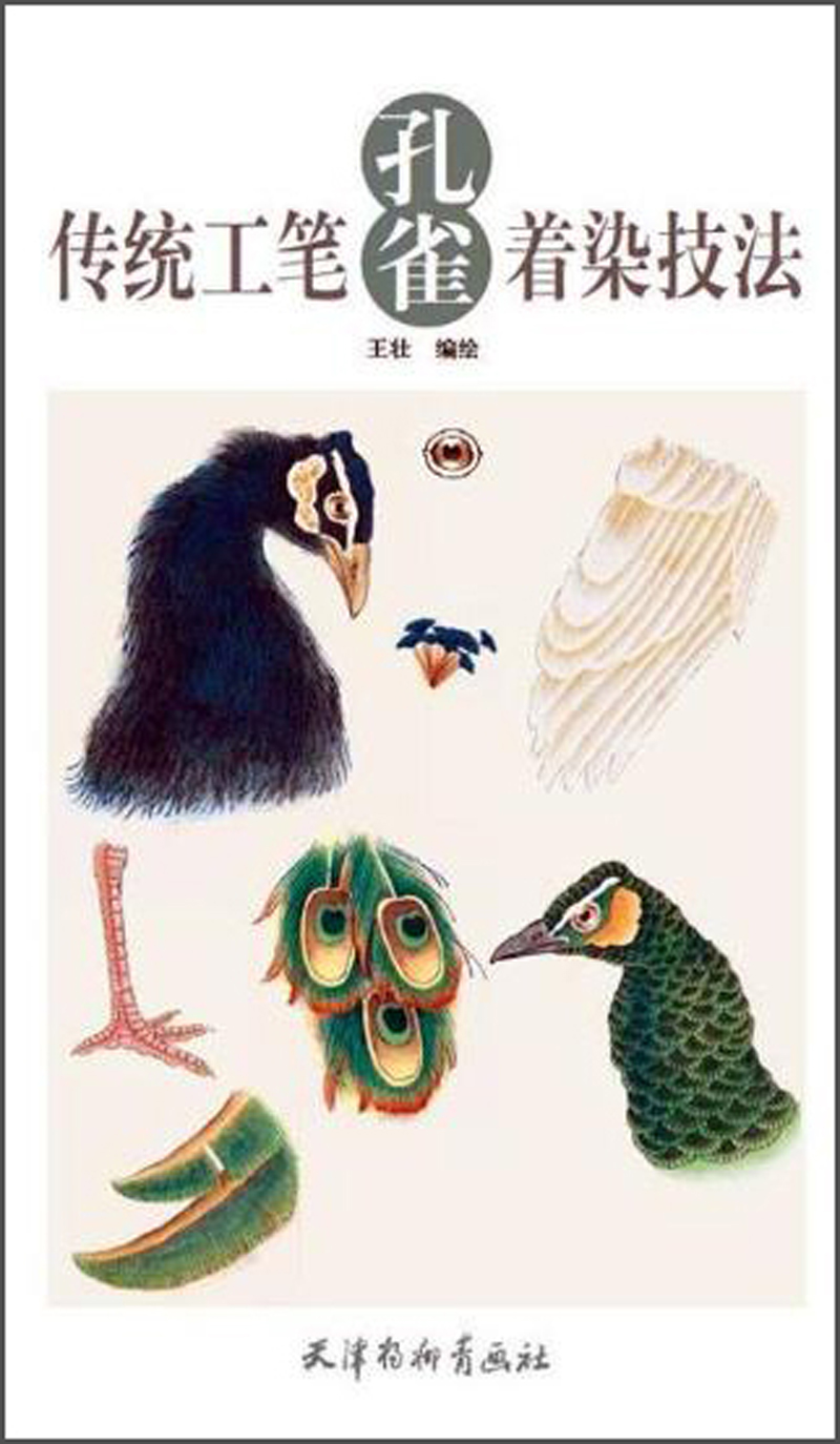 正版图书 传统工笔孔雀着染技法 国画技法类书籍 雀着染技法