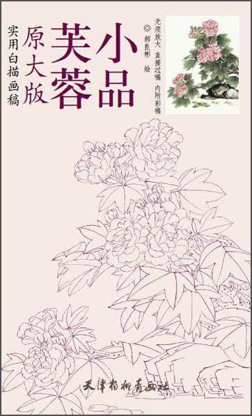 芙蓉小品（原大版 实用白描画稿）属于什么档次？
