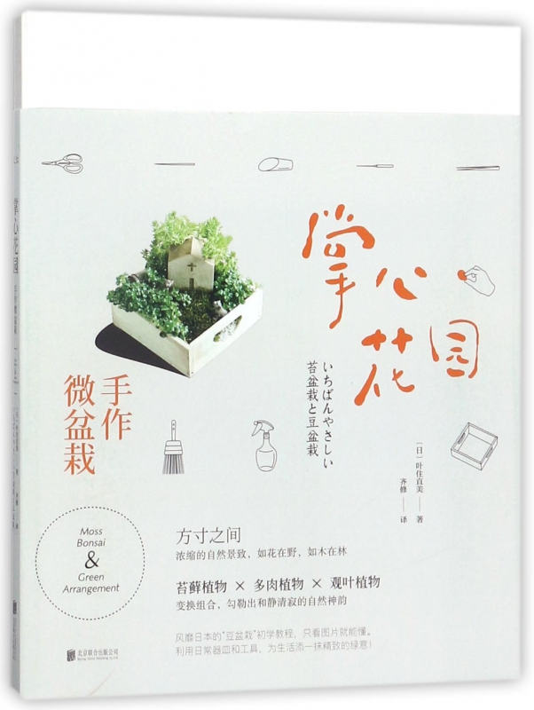 掌心花园(手作微盆栽)