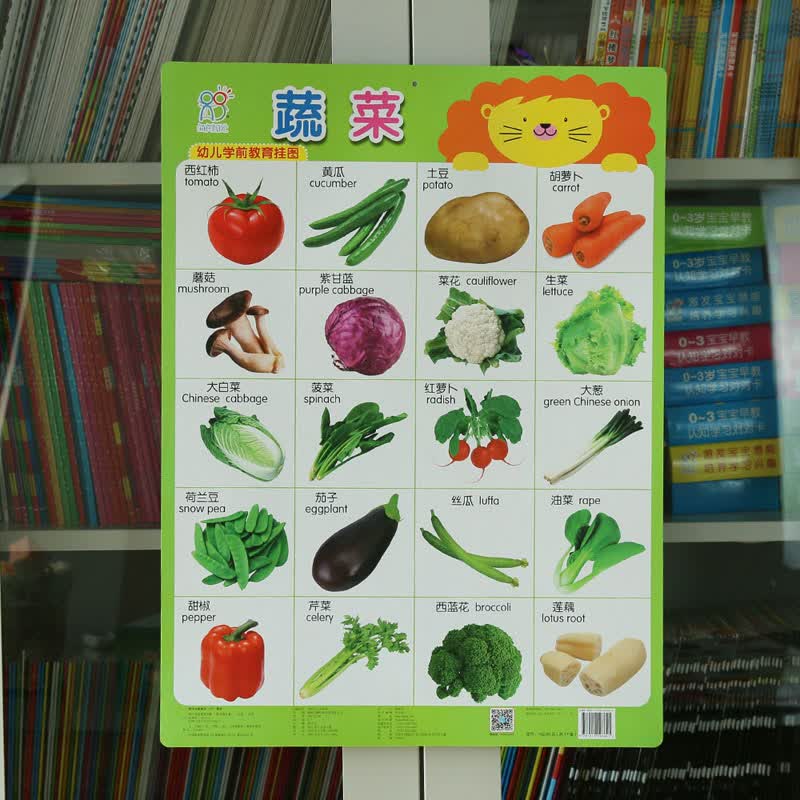 幼儿学前教育挂图(共17张)双面34页婴幼儿早教启蒙挂图认知认物书 宝宝看图识字拼音挂画 家庭早教认知墙贴