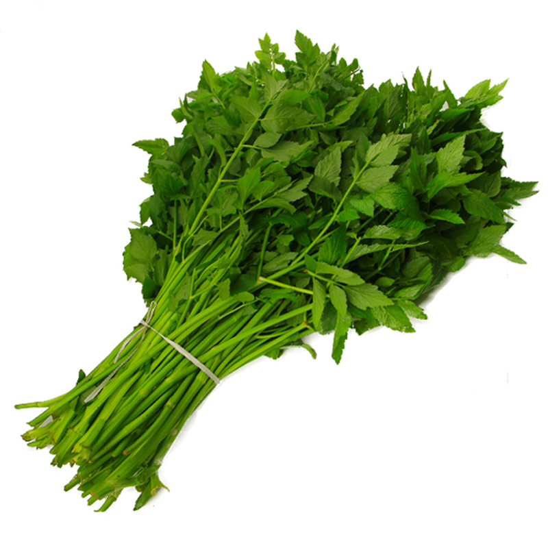 沃江源湖北新鲜野芹菜野生芹菜水芹菜现挖发货2kg