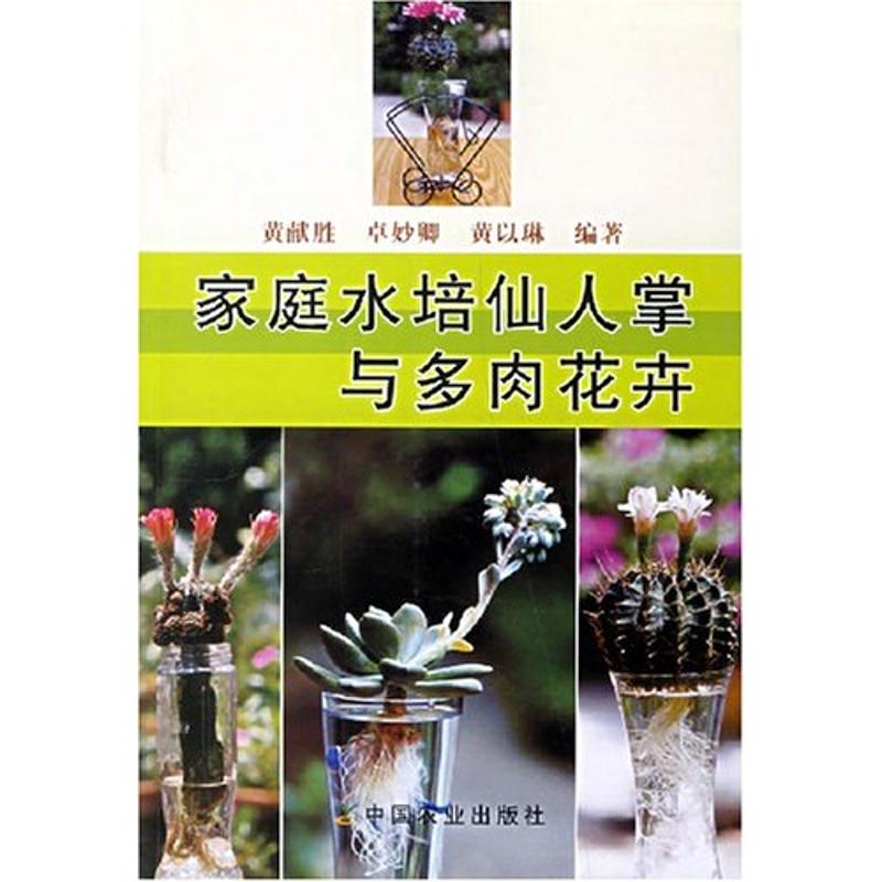 家庭水培仙人掌与多肉花卉