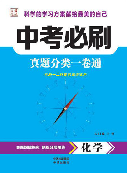 中考必刷.化学