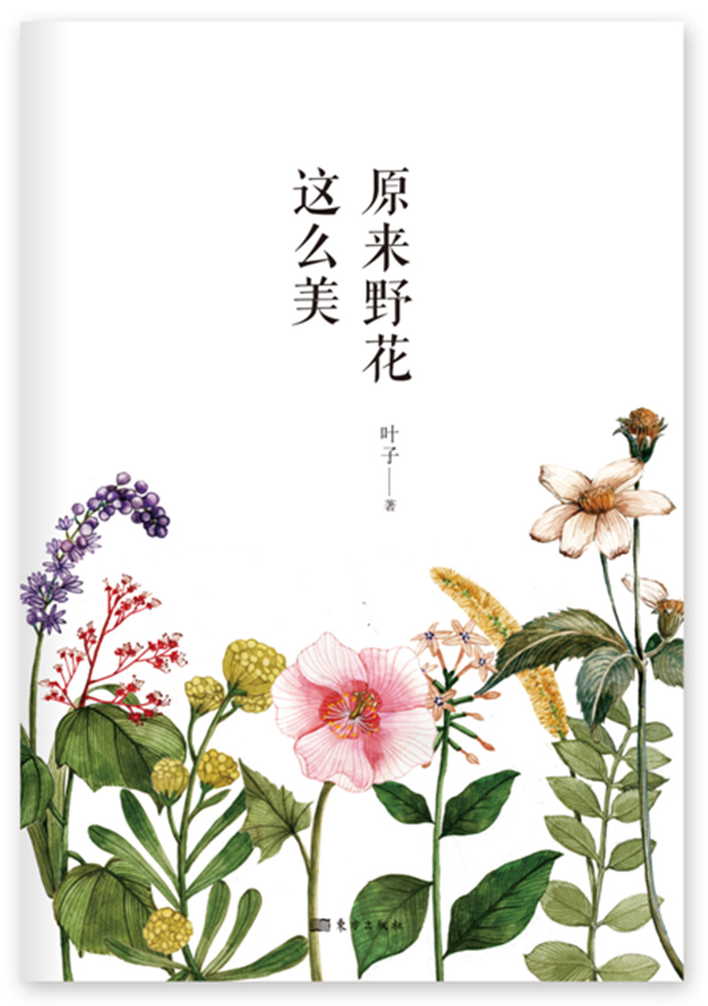 原来野花这么美