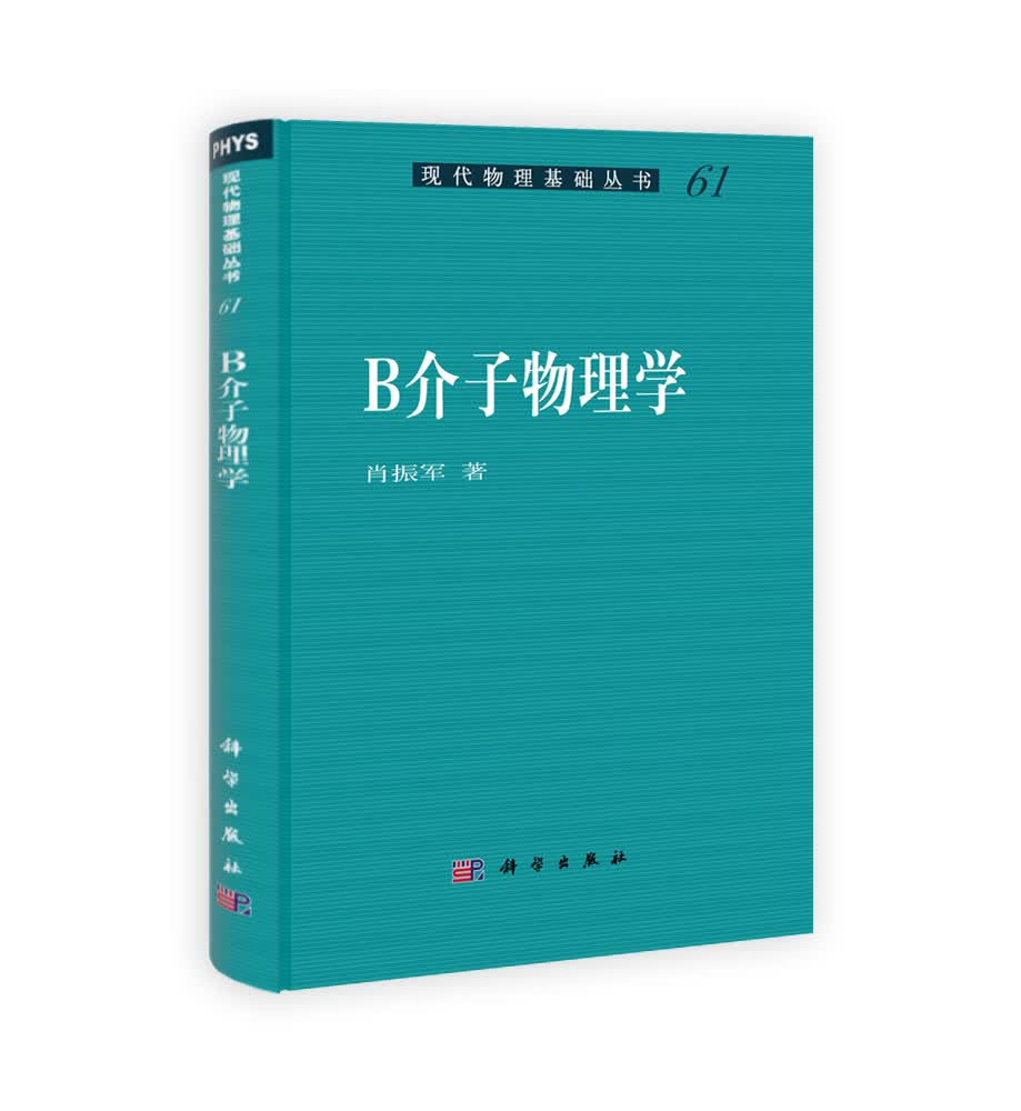 现代物理基础丛书：B介子物理学