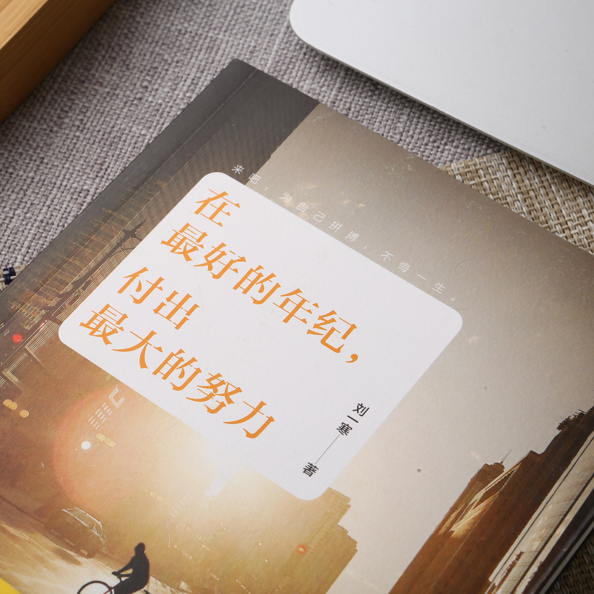 在最好的年纪，付出最大的努力详情图