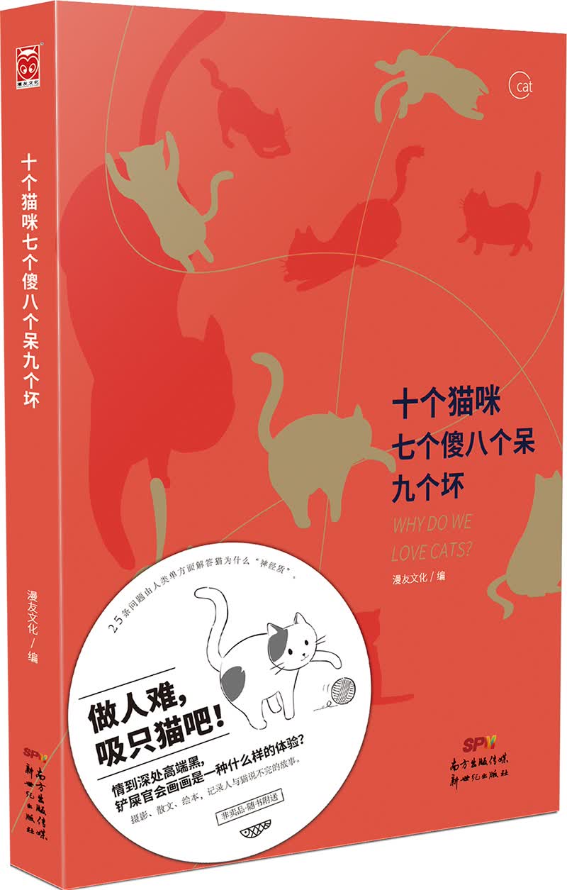 十个猫咪七个傻八个呆九个坏