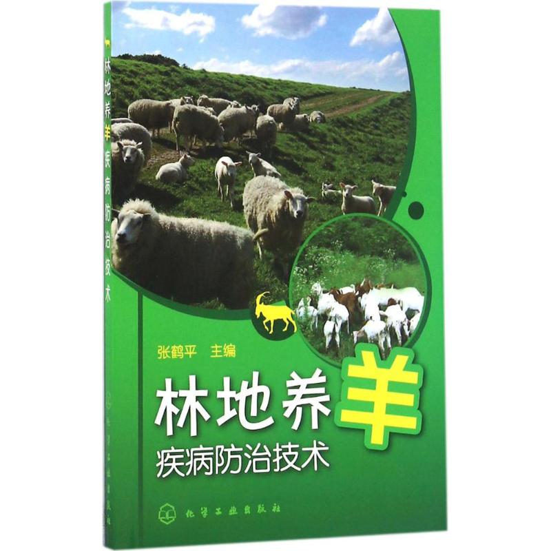 林地养羊疾病防治技术