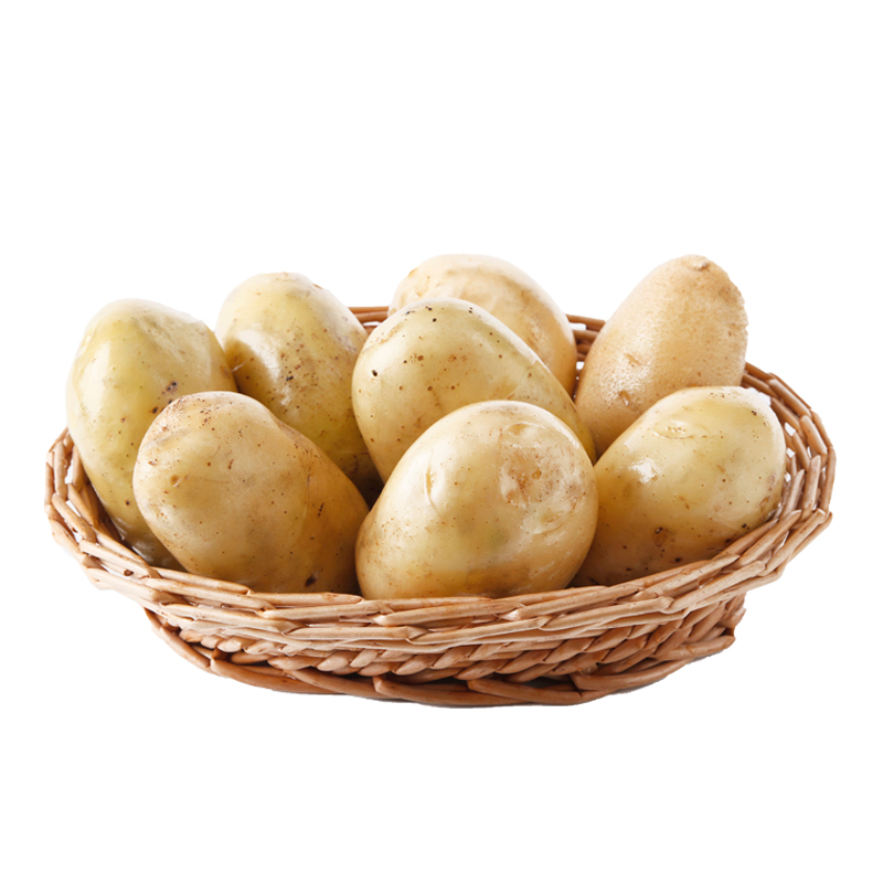 查询根茎类价格最低|根茎类价格走势