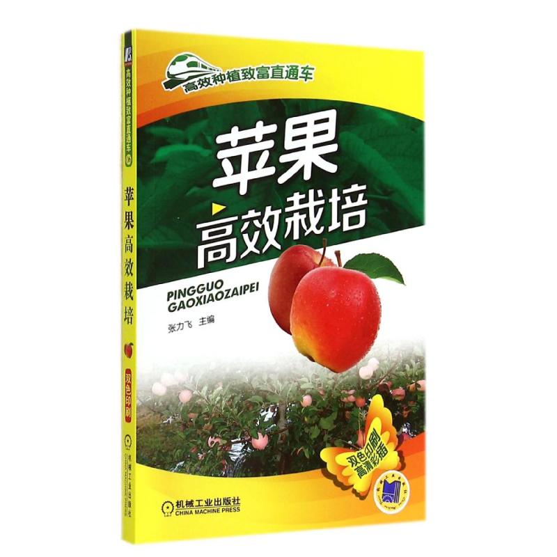 苹果高效栽培(6)