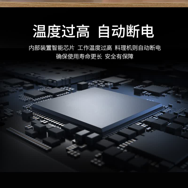 Tenfly绞肉机家用电动灌肠机搅肉机多功能碎肉饺馅机小型商用辣椒蒜蓉机多功能肉不锈钢绞肉机 350W 标配双刀片 进阶版 2L