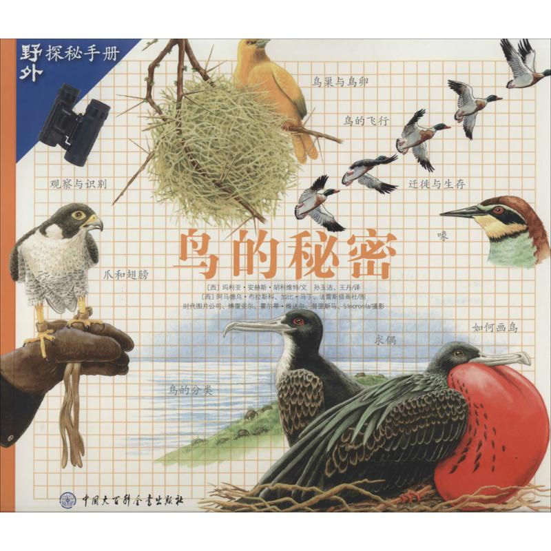 鸟的秘密