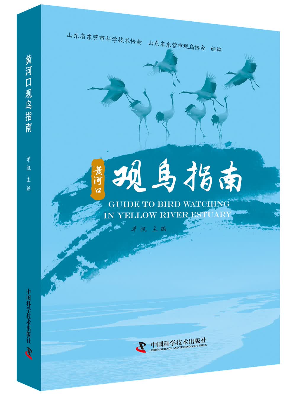 黄河口观鸟指南
