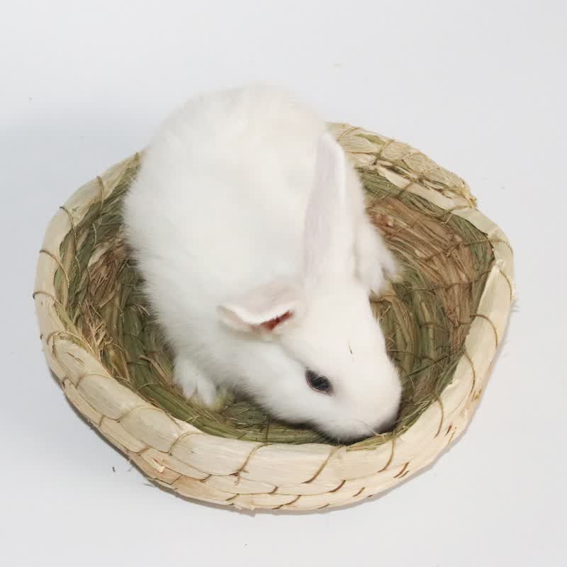 朗缤 兔子荷兰猪草窝手编窝豚鼠保暖小宠用品 草窝 1个
