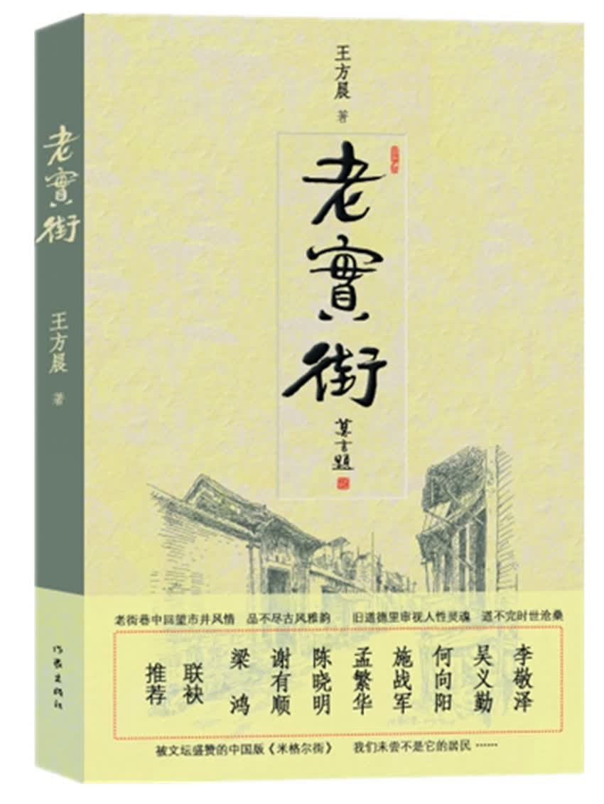 老实街（第七届鲁迅文学奖提名章节）