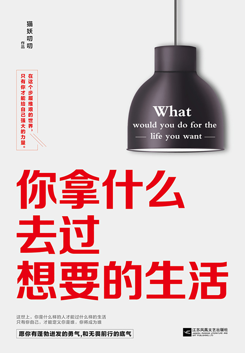 你拿什么去过想要的生活详情图