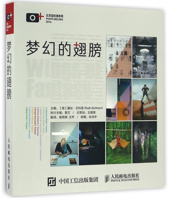 梦幻的翅膀(精)